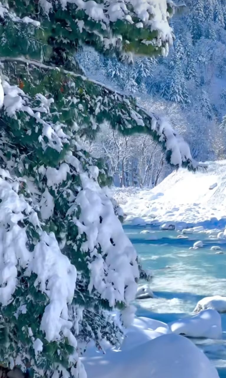 Snow Fall of Kashmir